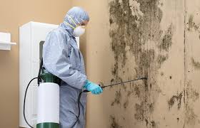 Best Air Quality Testing for Mold Spores in USA